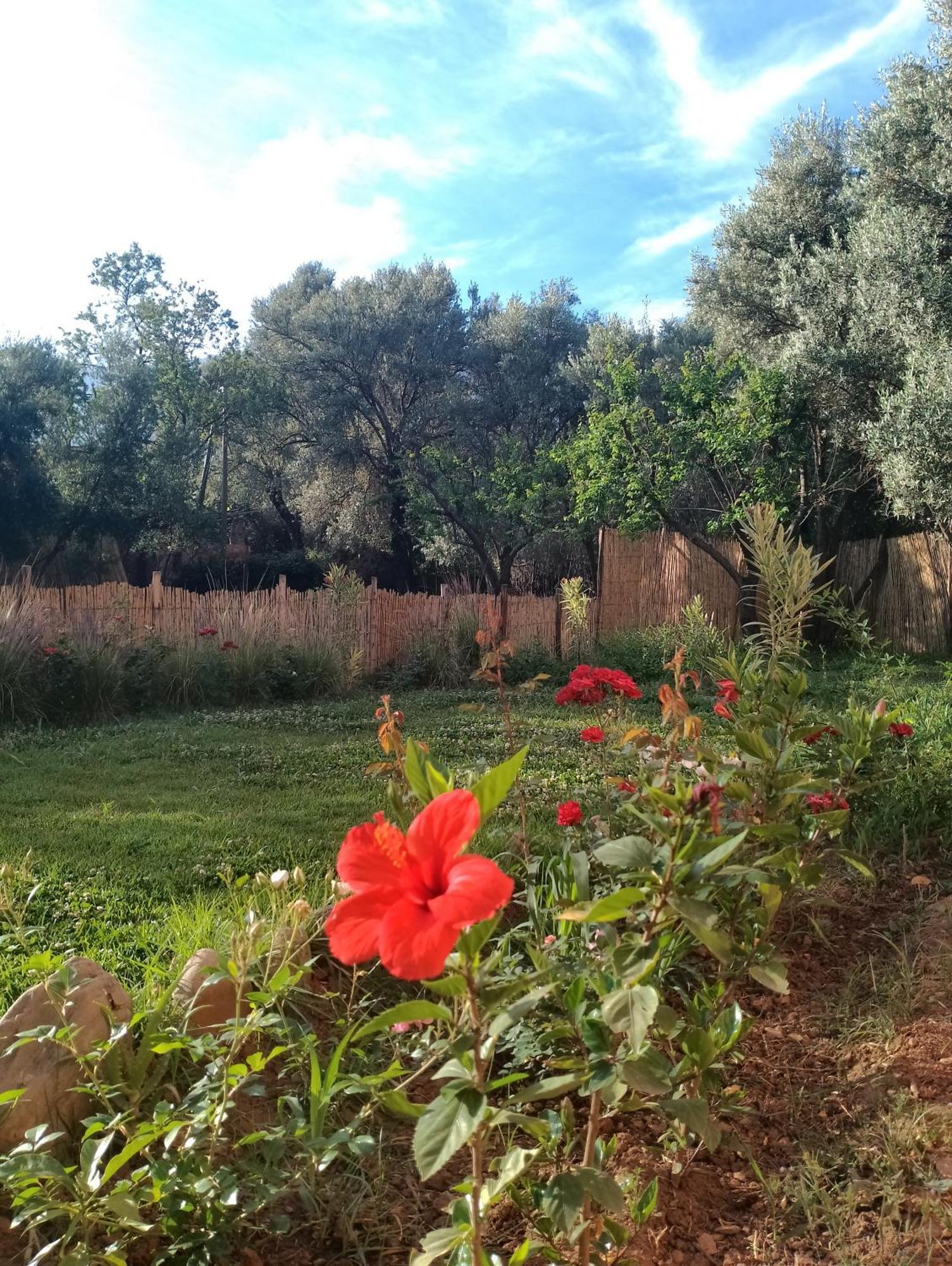Riad Idar Ouirgane Rom bilde